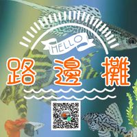 路邊攤 • 觀賞魚交流競標【孔雀魚、異形】