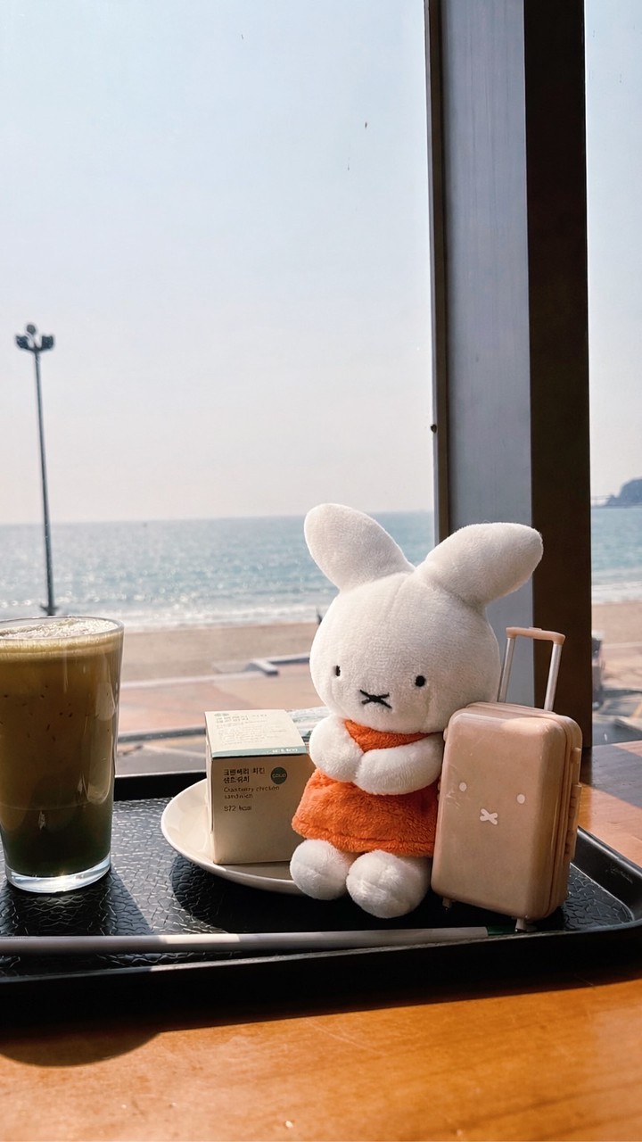 董事長 Miffy 🤍
