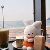 董事長Miffy代購🤍