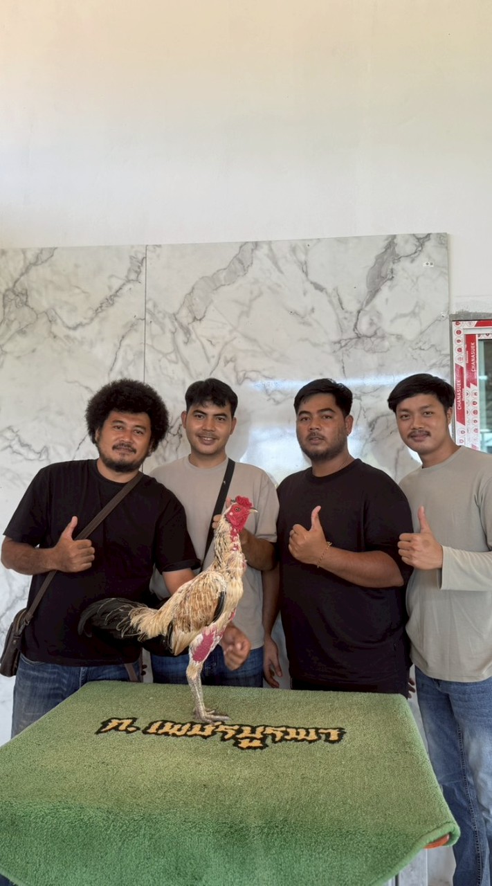 สิงห์คู่การเกษตรฟาร์ม