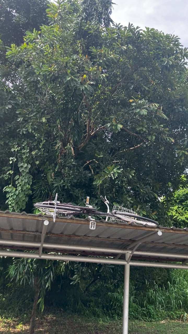 เฮียแป๋วรับหิ้วรับส่ง