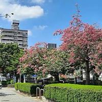 健康所社區治安交通宣導平臺