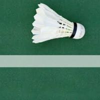 OSG Badminton club