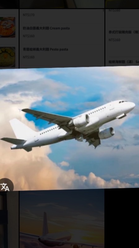 桃園機場預約（接機、送機）