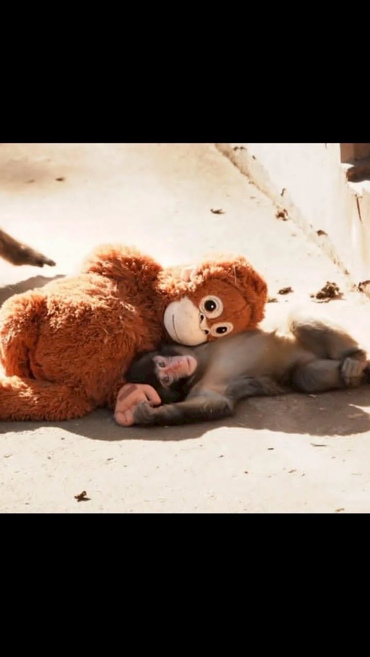 台北新北租屋—維你租租の社群ꉂ ･ ･ ☆