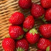 🍓いちご狩りスタッフトークルーム🍓