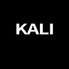 輔大 Kali 武術社