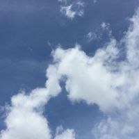 50からの楽しい雑談部屋。