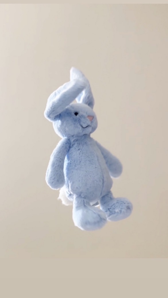貓膩Moni_Jellycat🌸