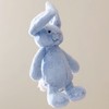 貓膩Moni_Jellycat🌸