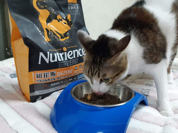 貓飼料推薦-貓奴必備紐崔斯Nutrience 頂級無穀飼料 凍乾系列 成貓無穀 火雞肉+雞肉+鮭魚 2.27kg 開箱分享