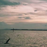 My pictures and videos