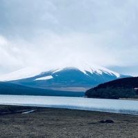 サイエンス情報科