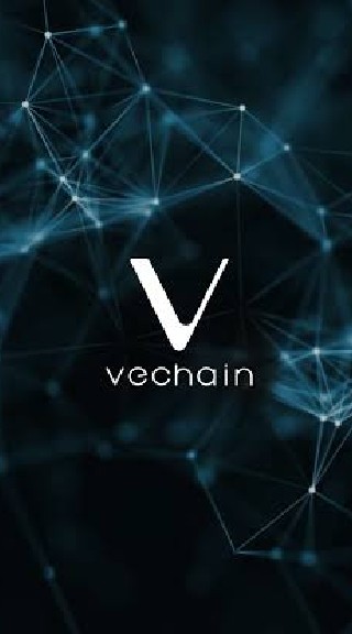 Vet Vechain Thailand 🇹🇭