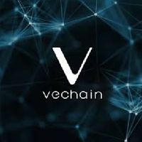 Vet Vechain Thailand 🇹🇭
