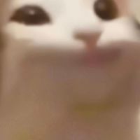 I dentity and roblox