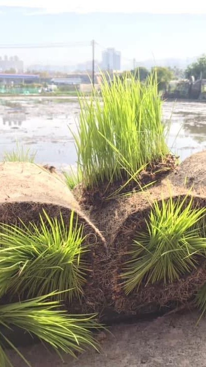 大里區農會-推廣教育園地