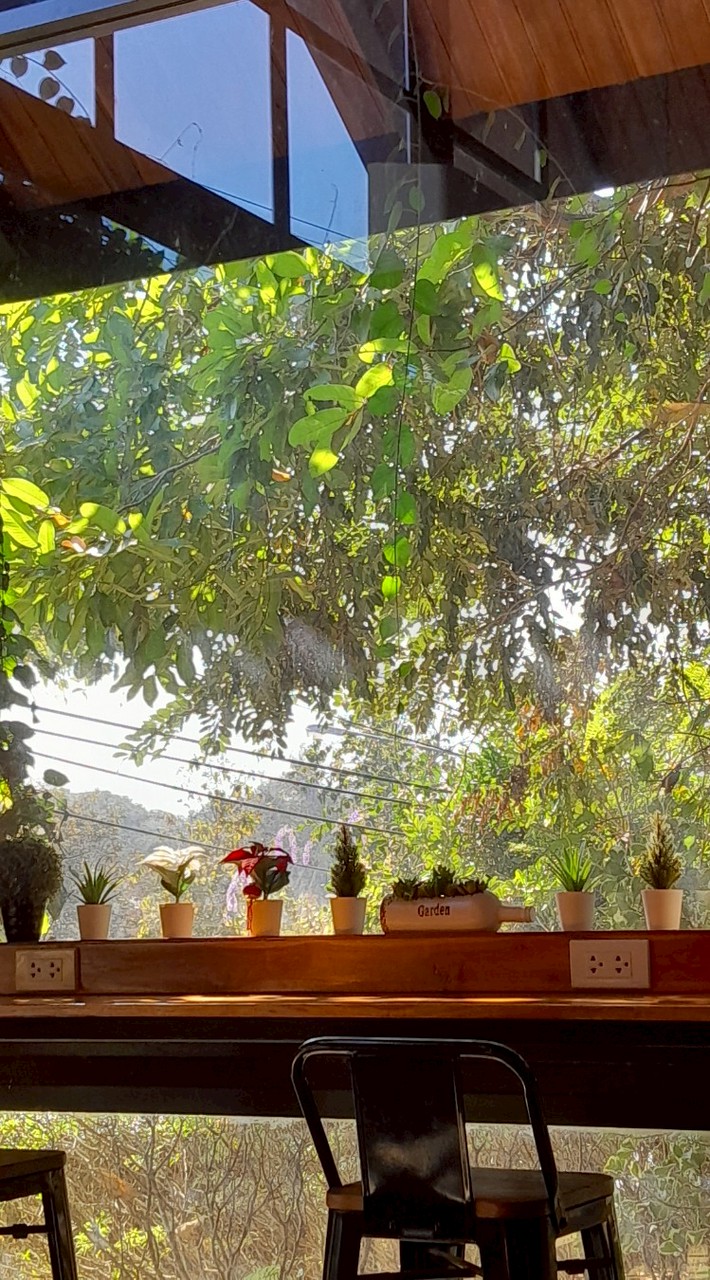 แชทรวมคนโสดดดดดด