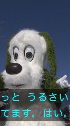赤貝‼️ミル貝‼️ナイスガイ‼️／HQ緩也