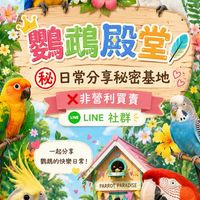 ​🦜鸚鵡殿堂㊙️日常分享秘密基地 ❌非營利買賣
