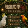 ​🦜鸚鵡殿堂㊙️日常分享秘密基地 ❌非營利買賣
