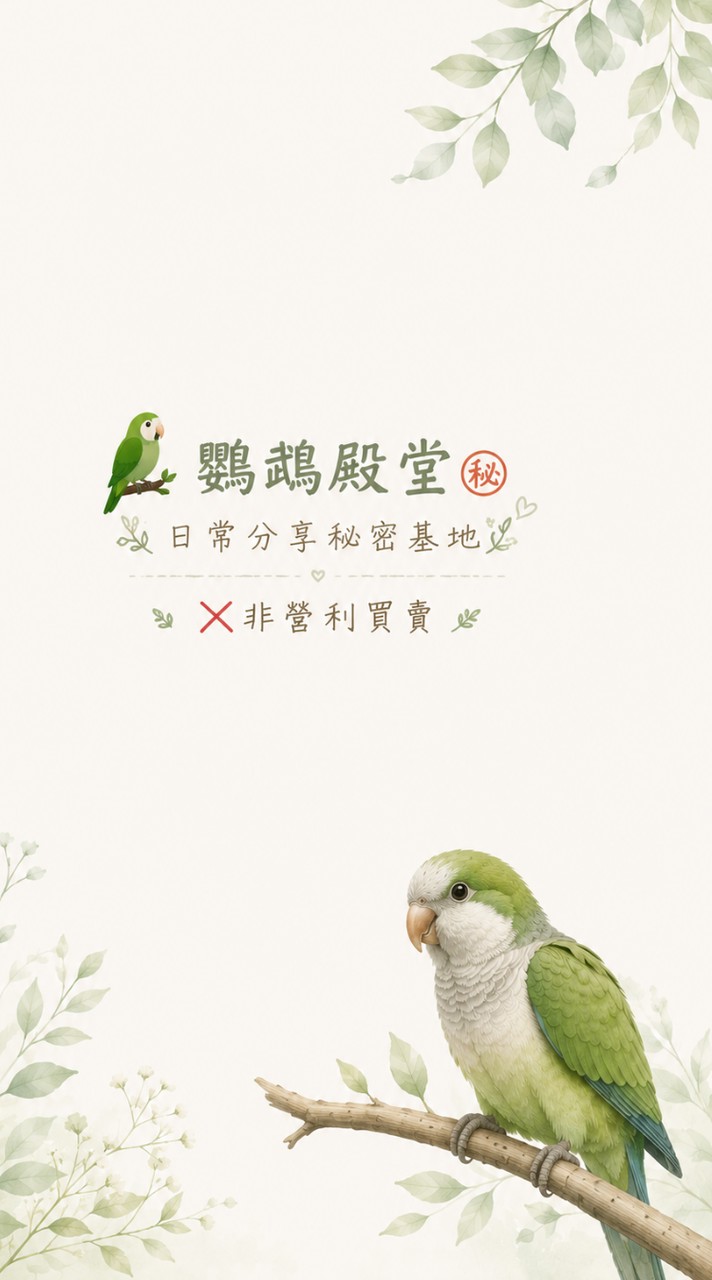 ​🦜鸚鵡殿堂㊙️日常分享秘密基地 ❌非營利買賣