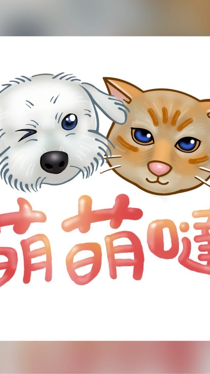 萌萌噠 團購網
