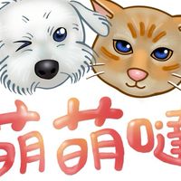萌萌噠 團購網
