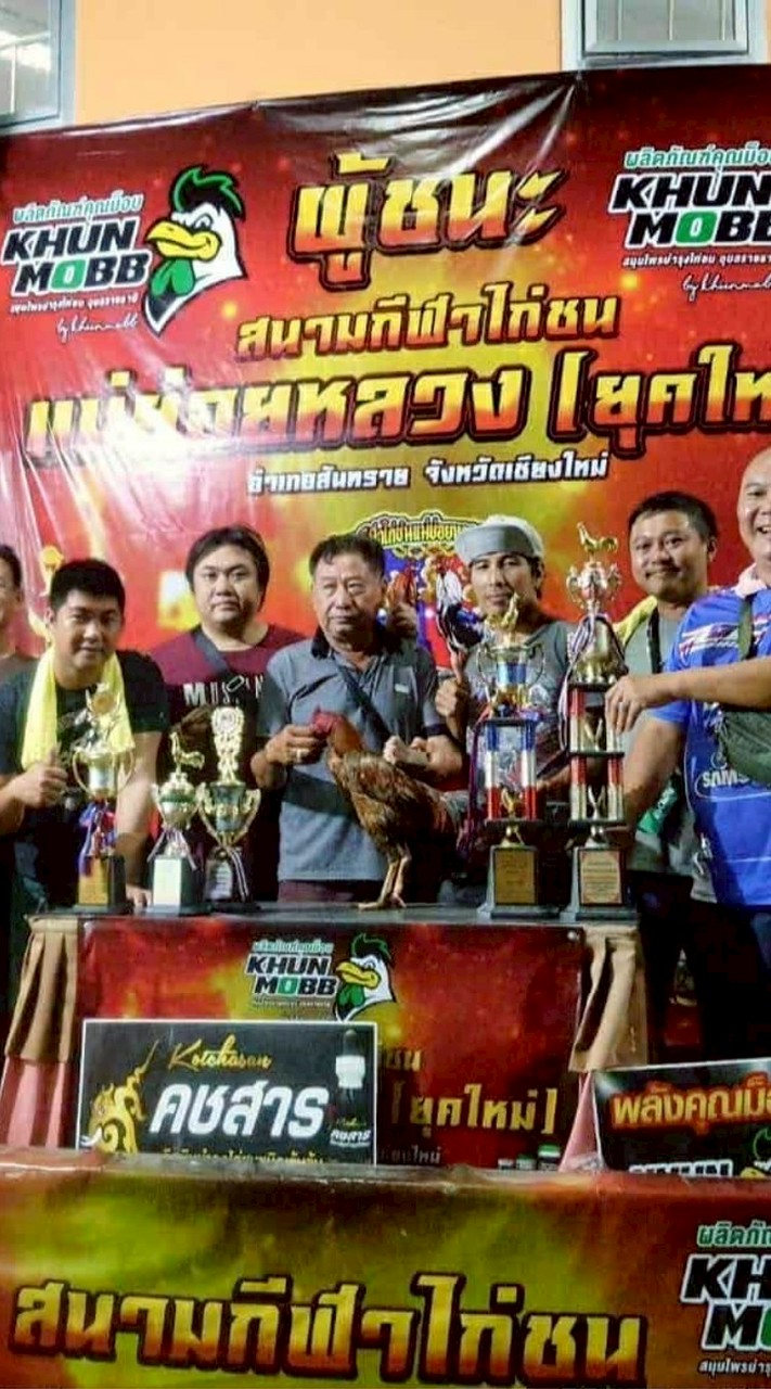 ซุ้มไก่ชน กระทิงดุ