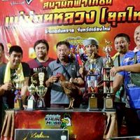 ซุ้มไก่ชน กระทิงดุ