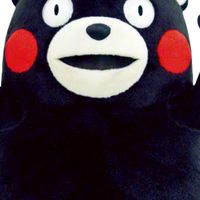 熊本代購連線5/4-5/9