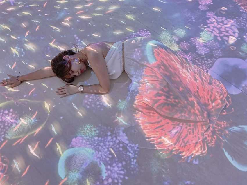 桃園青埔Xpark水族館 _珊瑚潛行