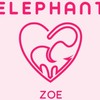 🧸Zoe’s shop 訂購客服私訊官方📩@nlh5055j
