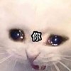 校園吐槽大會(◐‿◑)﻿