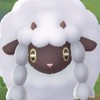 ポケモンGO同好会