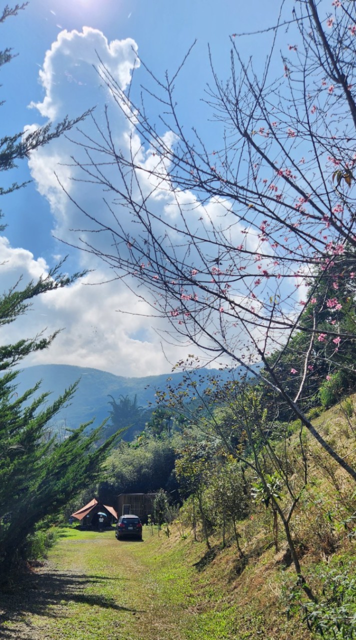 鳥哥露營趣分享