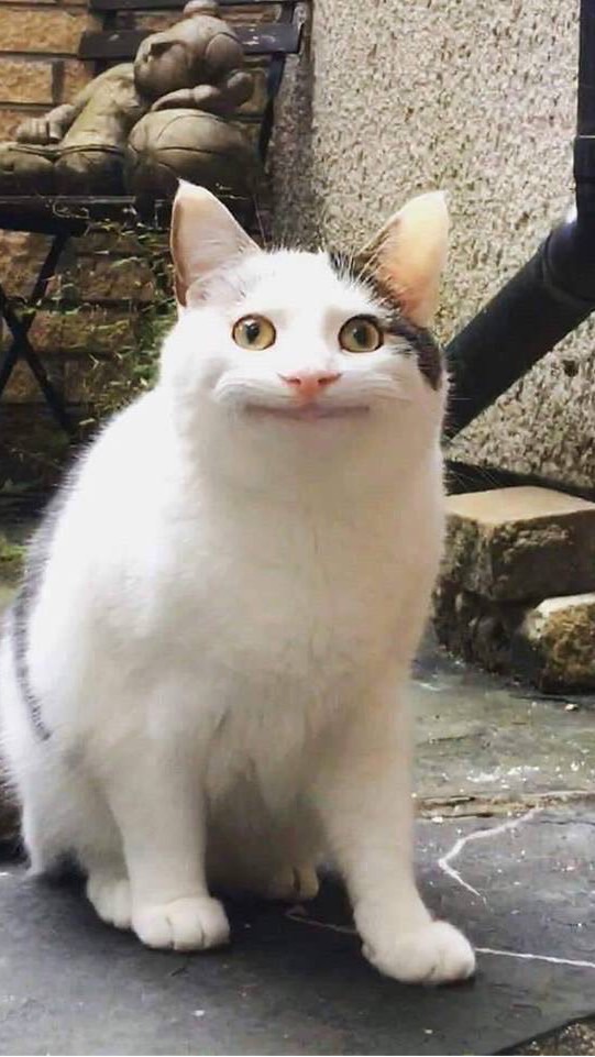 そにそにカンパニーファンクラブのオープンチャット