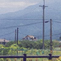 捏捏樂/小紅書/微店/拼多多/代購/代搶/代集運