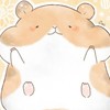 ハムスター好きな人❕