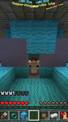 マイクラ統合版CubeCraftガチ勢集まれ〜!