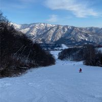Ski or die 滑雪交流