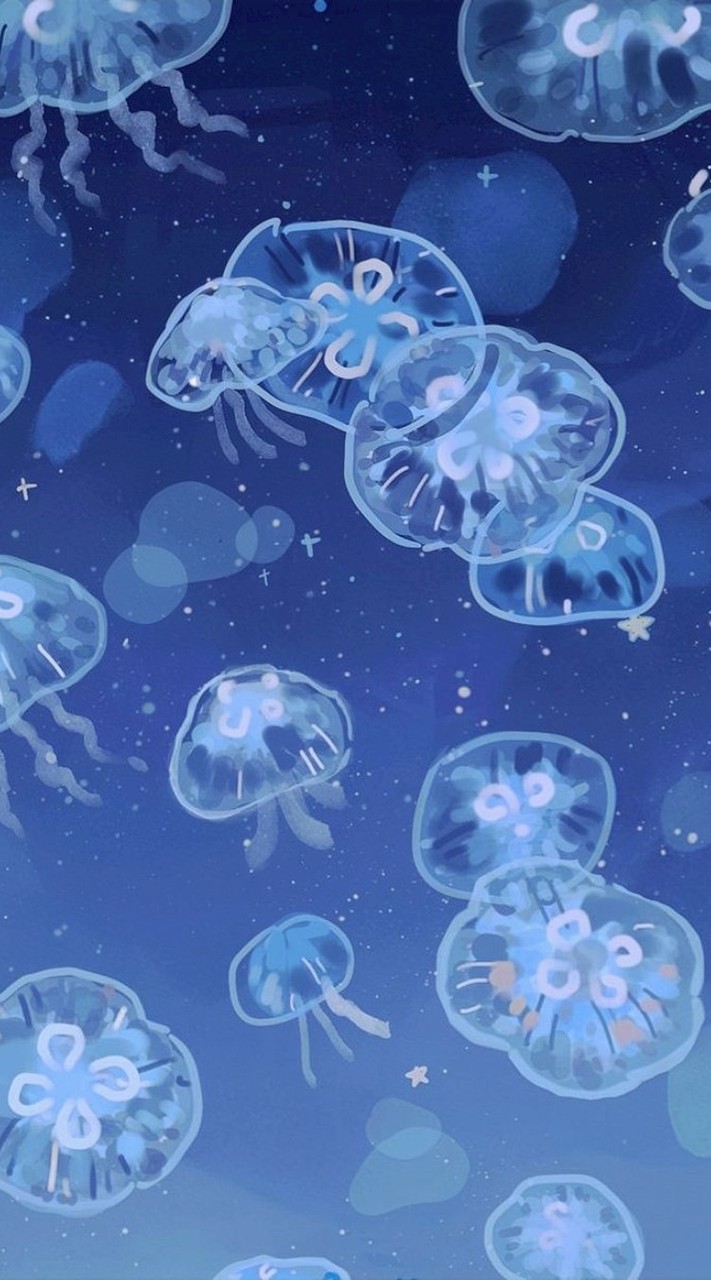 🪾֯. ♡ Symbol𓈒ׅ  form     ִby Hom  🤍    ~𓈒   ݁ ִ𓈒ᕱ̫ᕱ