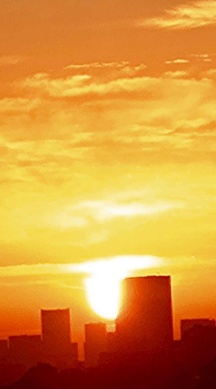 🐈‍⬛黒猫🐈‍⬛ギターケースの秘密基地　ギター弾き語り　初心者歓迎　※ギター井戸端会議中の皆さん　部屋復活！