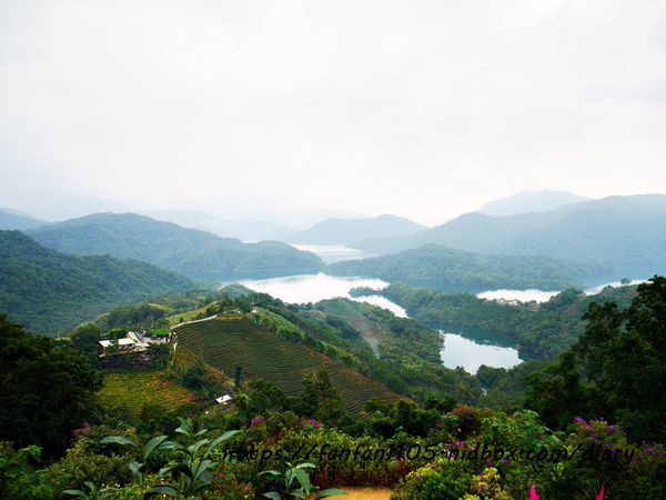 【新北石碇】絕美秘境 #八卦茶園 #千島湖 #新北景點 #IG打卡熱門景點 (8).JPG