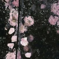 𖥔 ࣪ 𝙾𝚗𝚌𝚎 𝚞𝚙𝚘𝚗 𝚊 𝚍𝚛𝚎𝚊𝚖