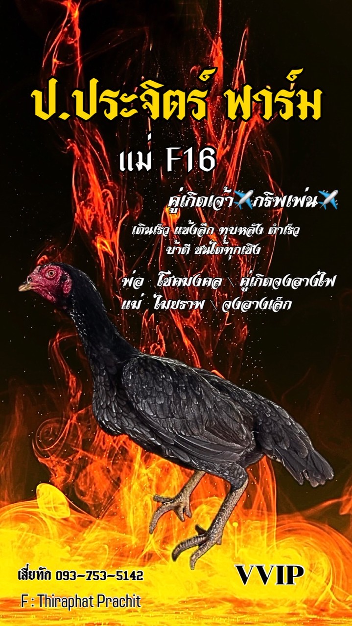 ป.ประจิตร์