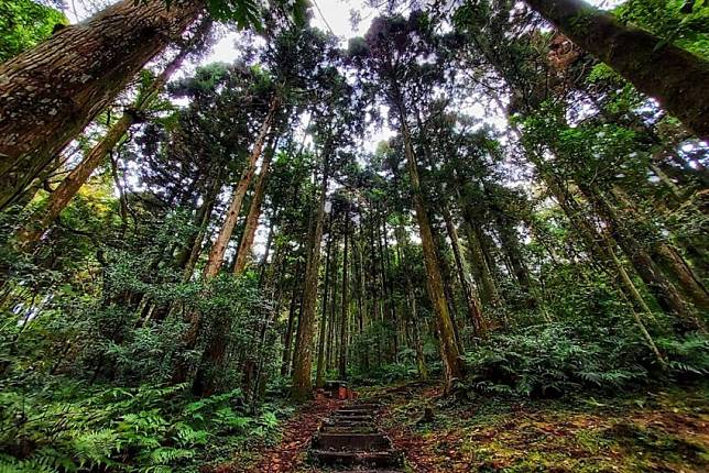 照片來源：IG @calvinycd