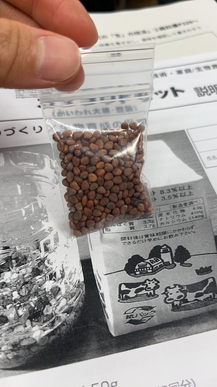 【技術と物作り】かいわれ大根おぷちゃ