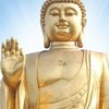 修行者結緣組／佛教、道教、基督教、摩门教、回教、一贯道教、统一教