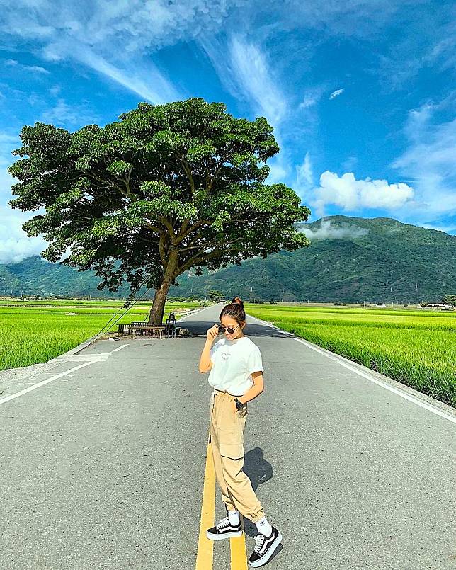 ▲台東金城武樹。(圖/IG @lynnnnn_22）